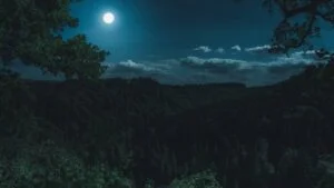 Mensagem bonita de boa noite: As melhores para você compartilhar! 1 Mensagem bonita de boa noite