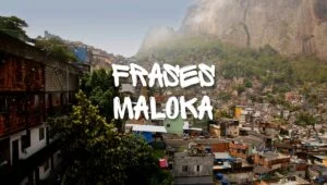 Frases de maloka para passar a visão